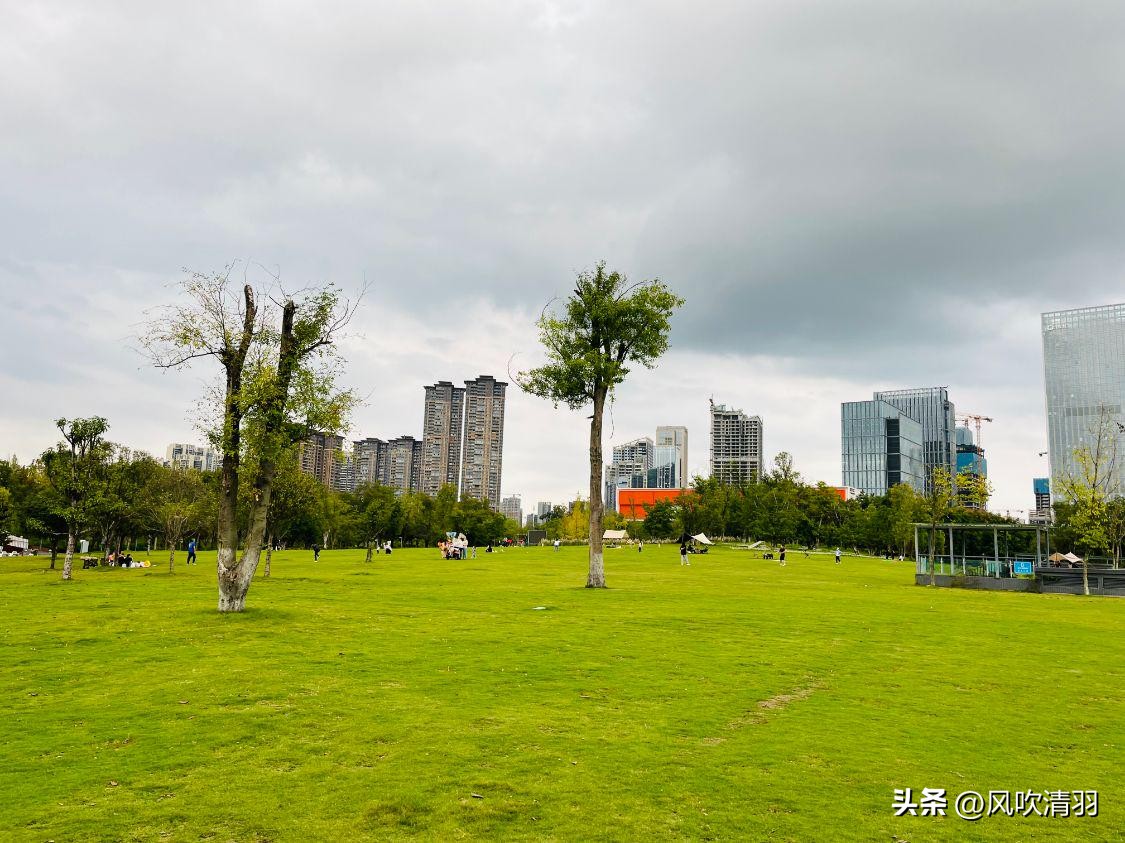 成都免费最适合夜晚的公园,成都城区公园游玩