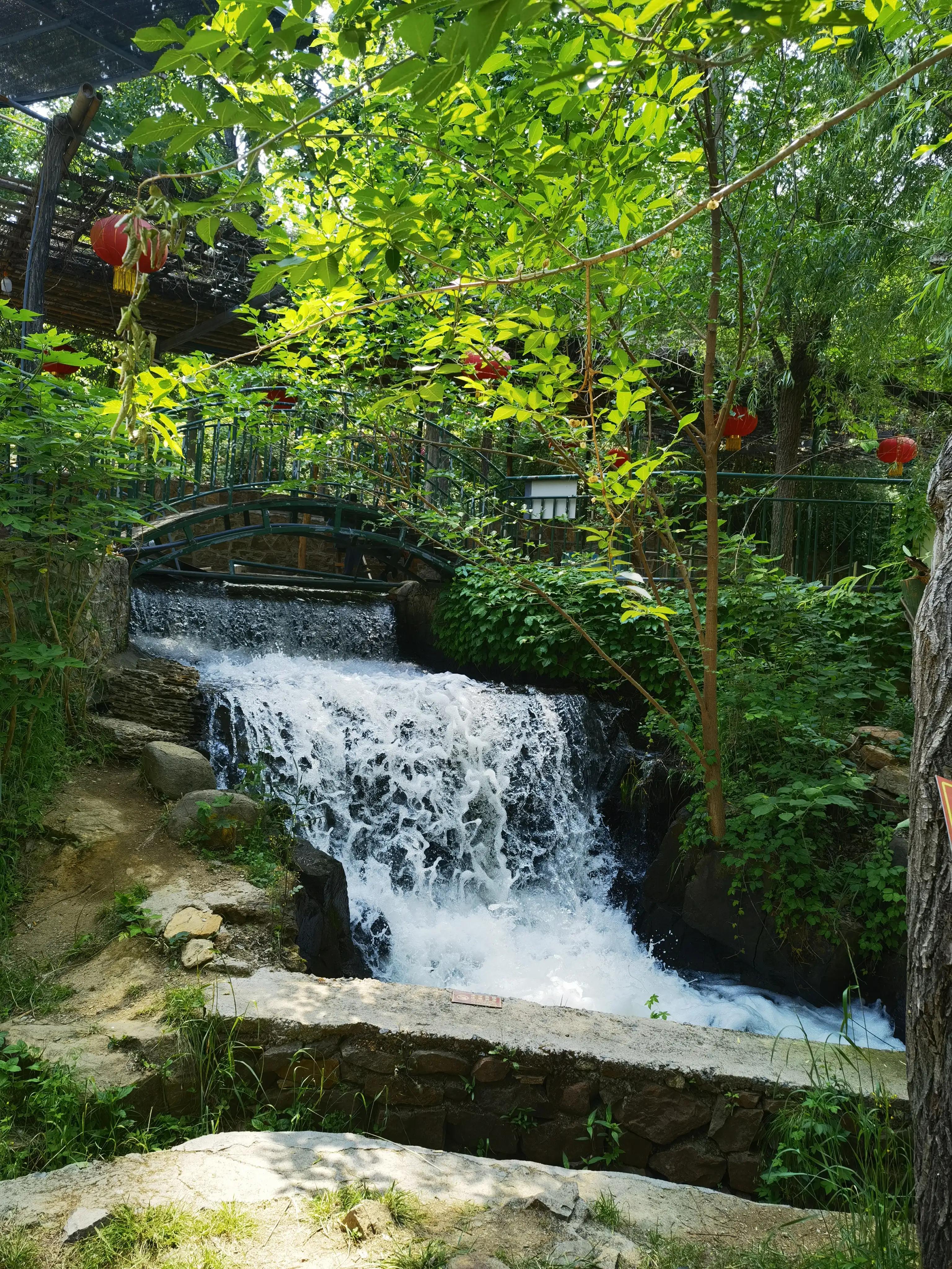 山东自驾游竹林小镇,五一自驾游推荐洞林湖