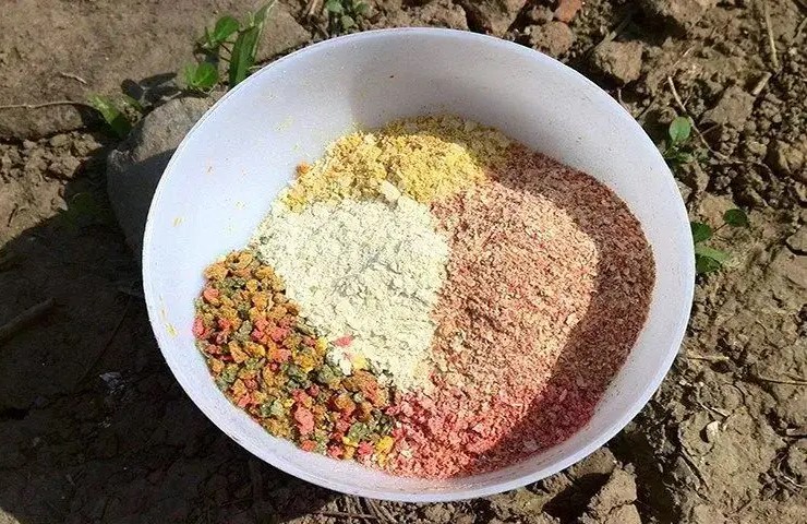 秋季的鱼,秋天的鱼为什么难钓