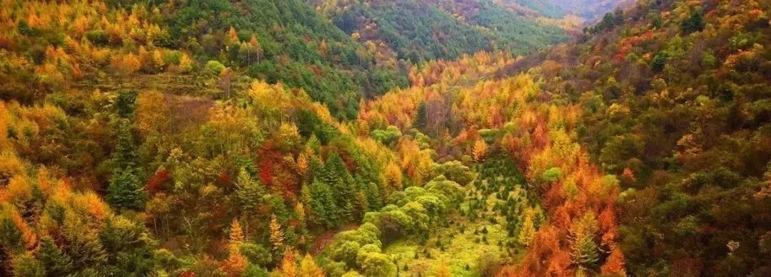 四川光雾山风景视频,光雾山旅游景区