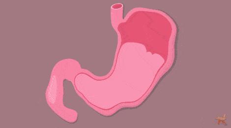 胃病的罪魁祸首就是这六种因素,胃病怎么得来的视频