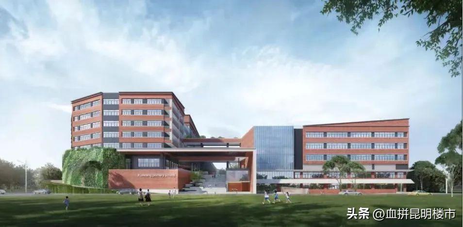 从小学到初中再到高中毕业,从小学到初中高中大学一路走来