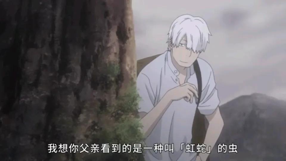 男人异想天开要抓住彩虹,虫师银古决定助他一臂之力
