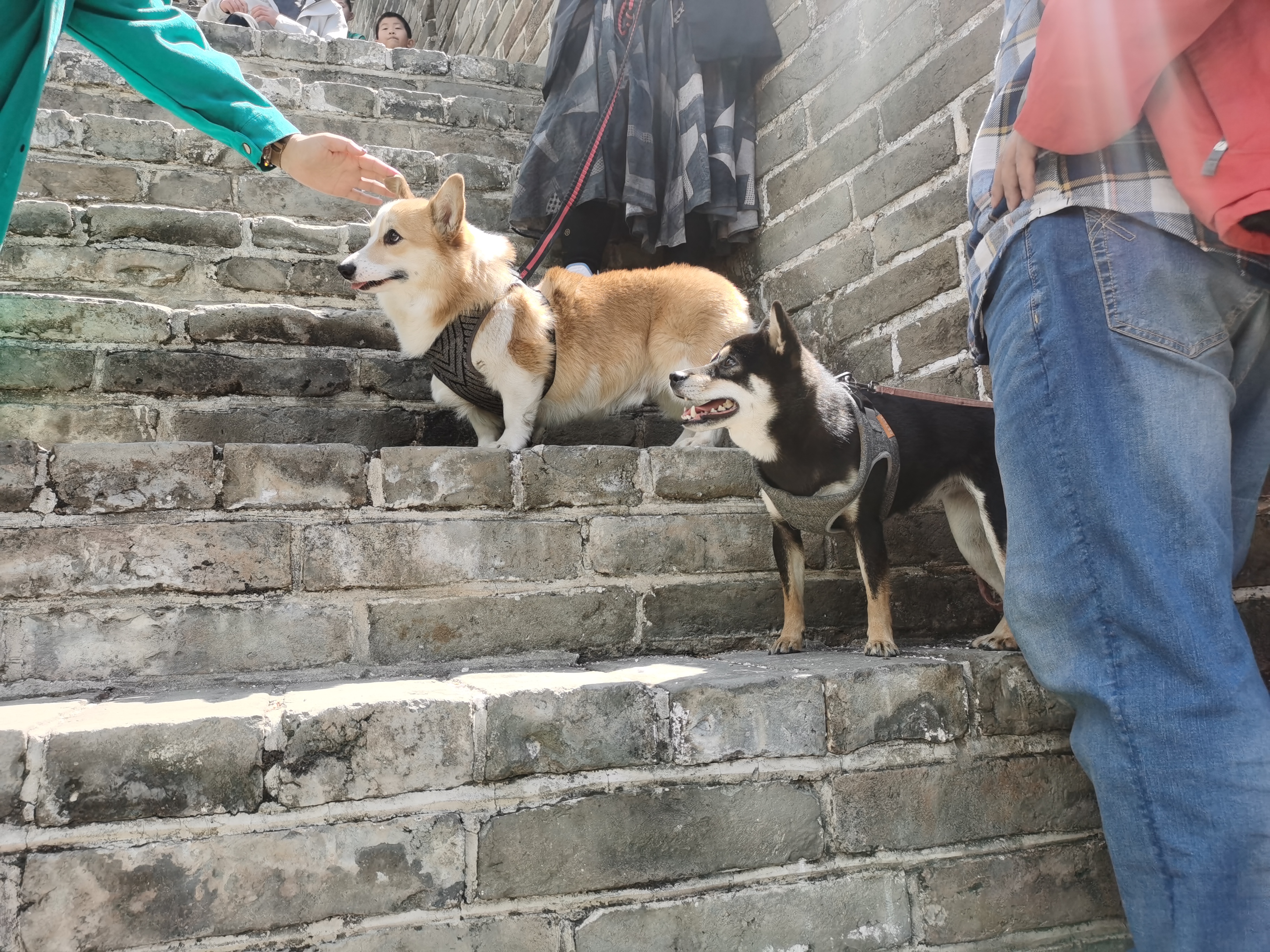 黄花城水长城旅游攻略,行走万里长城之旅
