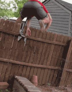 聪明水动画,聪明水的功效和作用