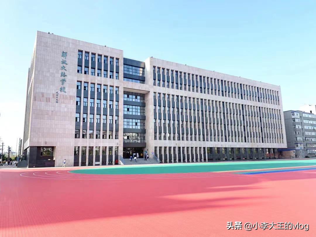 民办学校的神仙打架,长春小学打架事件