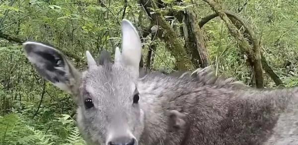 看！这是我们的终南山