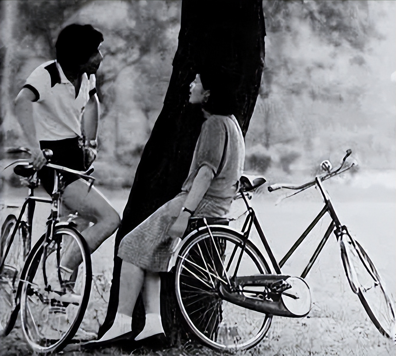 1995年凤凰自行车多少钱一辆,五十年代凤凰自行车价格