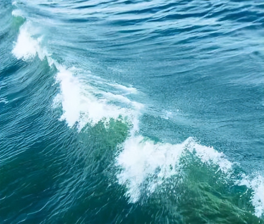 万万没想到，*子骗**就睡在我身边