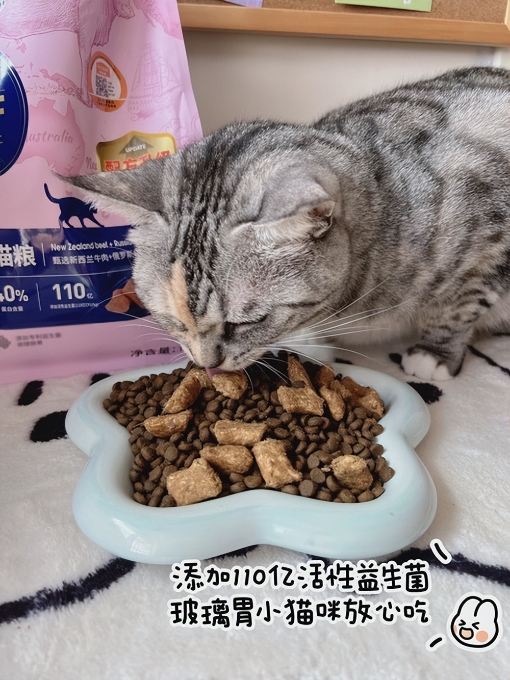 猫咪一直蹲着尿不出来怎么办,猫咪拉不出尿怎么办快速解决