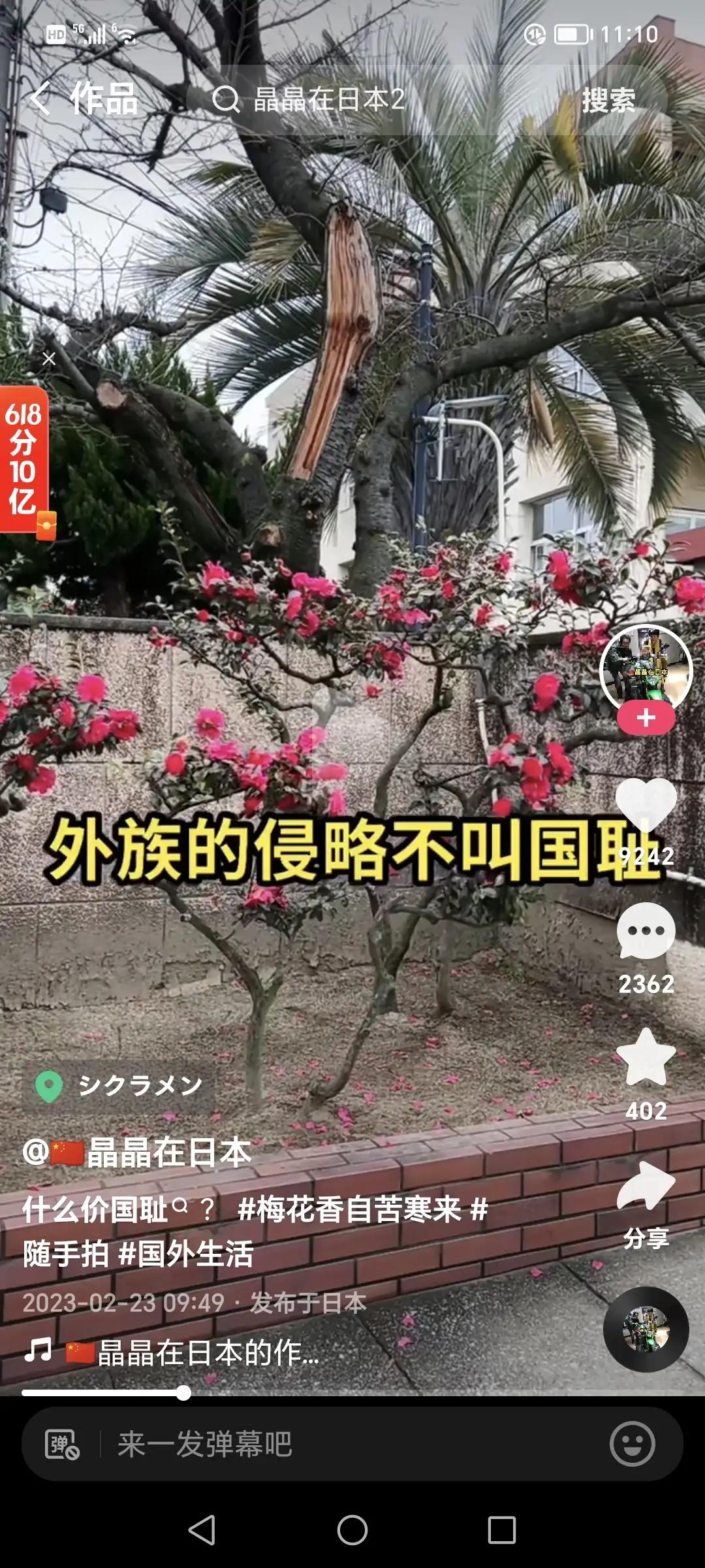 晶晶的日常生活日记,晶晶在日本卖手表