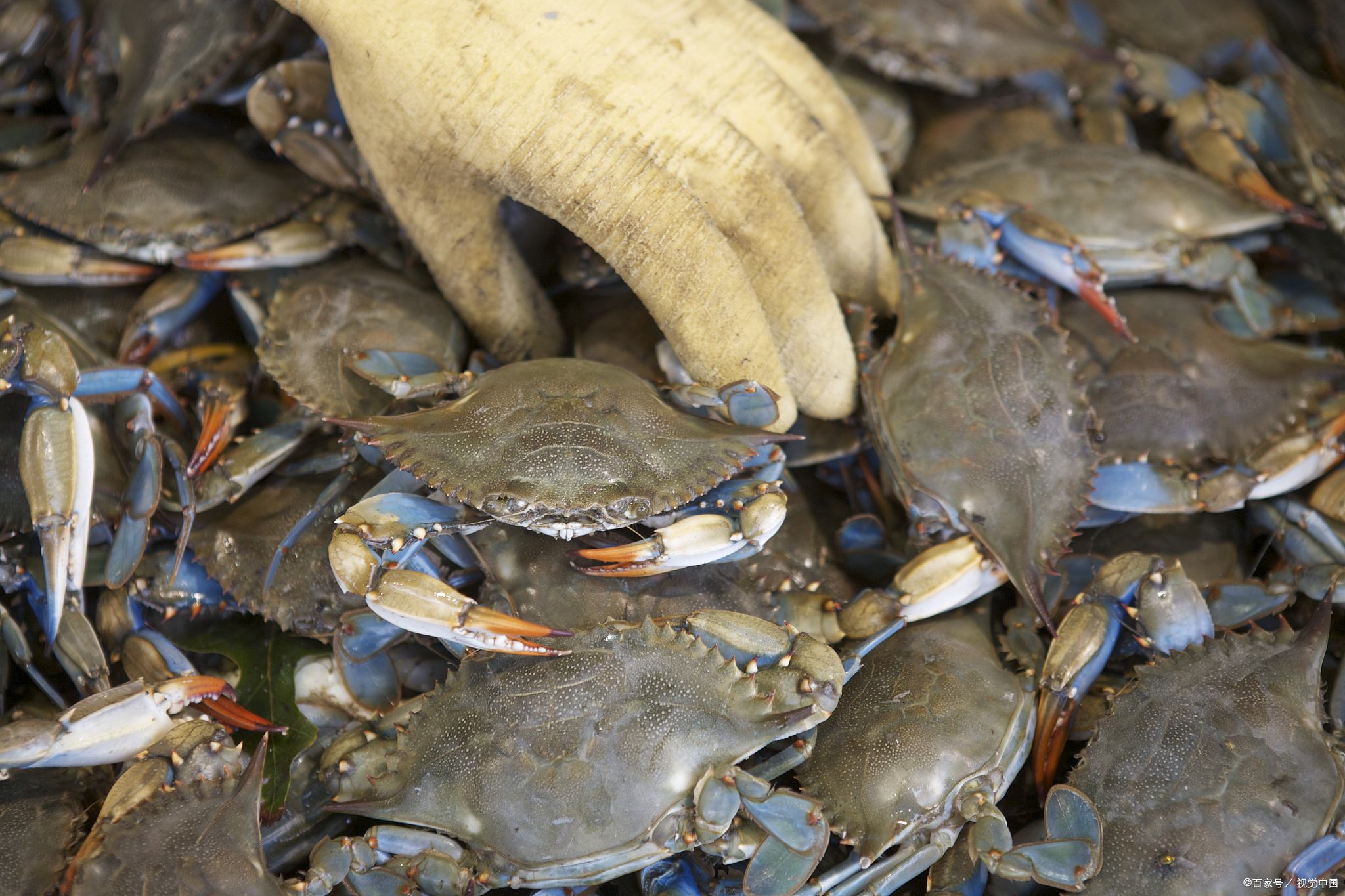 浙江十大手工艺特产必买清单,浙江台州特产有哪些值得带