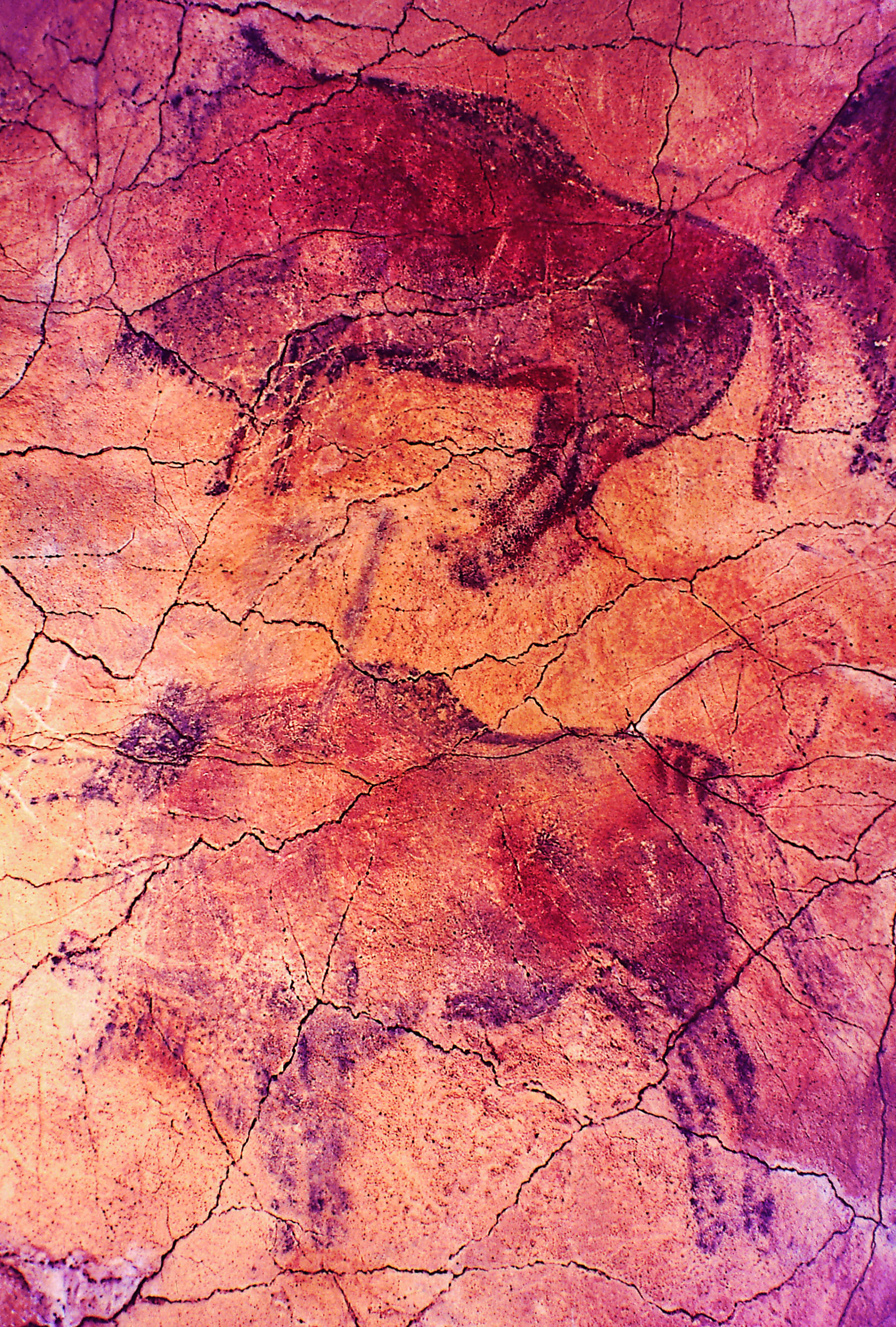 从远古时代到现代,西班牙艺术之旅