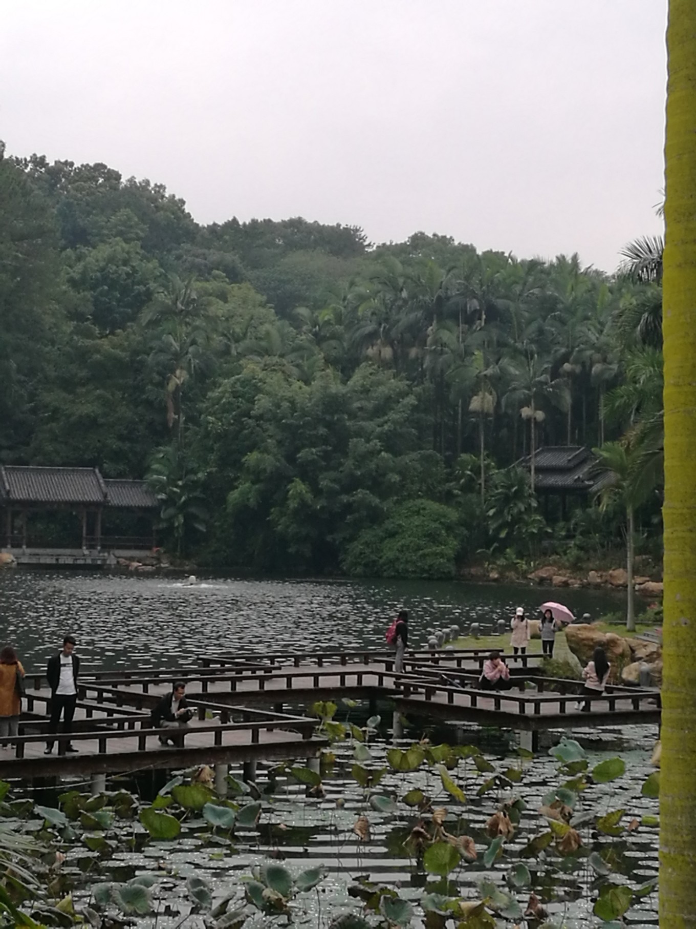 南宁北海涠洲岛六日游攻略,南宁涠洲岛德天瀑布五日游攻略