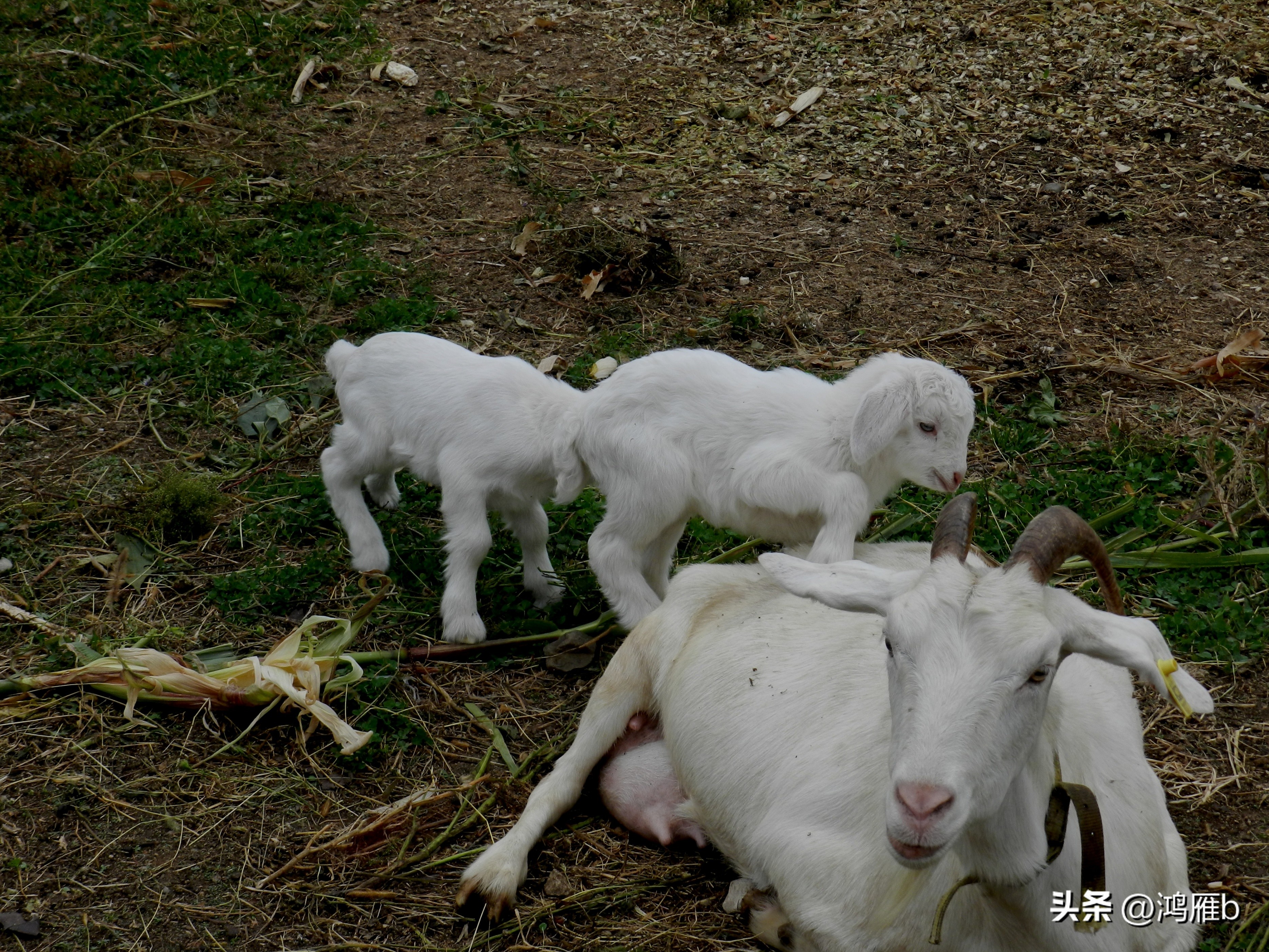 本溪温泉汤沟门票价格,本溪花溪沐枫雪温泉小镇