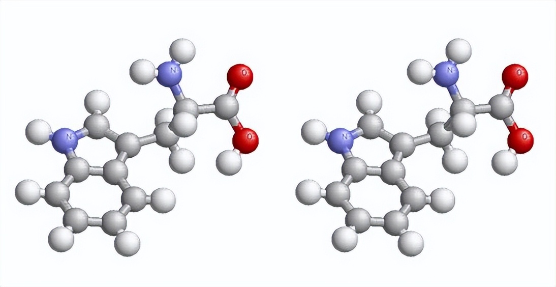 海洋动物体内的原肌球蛋白含量，是否会引起人体食物过敏？