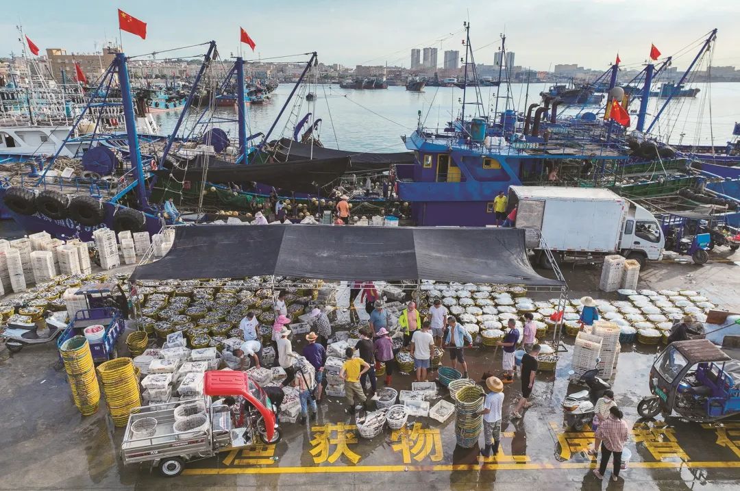 石狮开海直播预告,石狮永宁梅林渔港开海直播