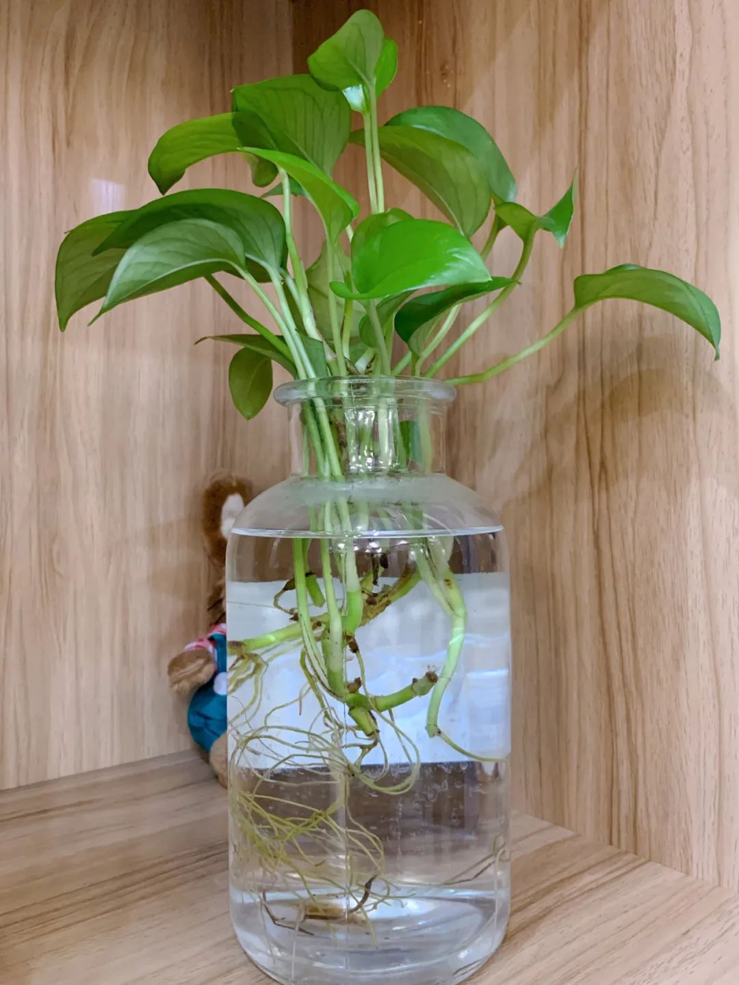 bolle探店|走进博乐系统门窗东方工匠店，探究匠心博乐的独特魅力