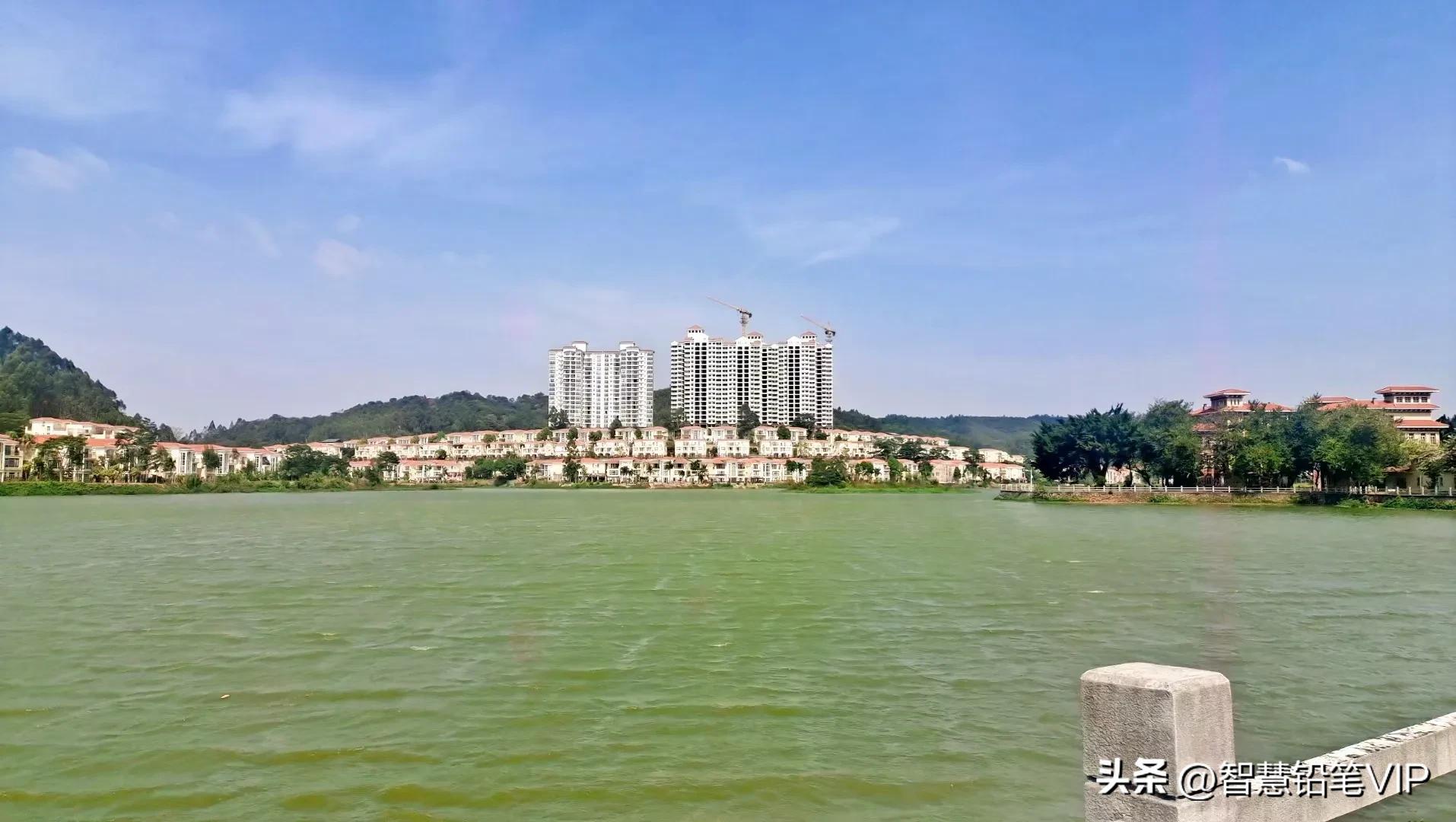 在广州，连水库都有它的故事——集益水库和水葫芦的那些往事