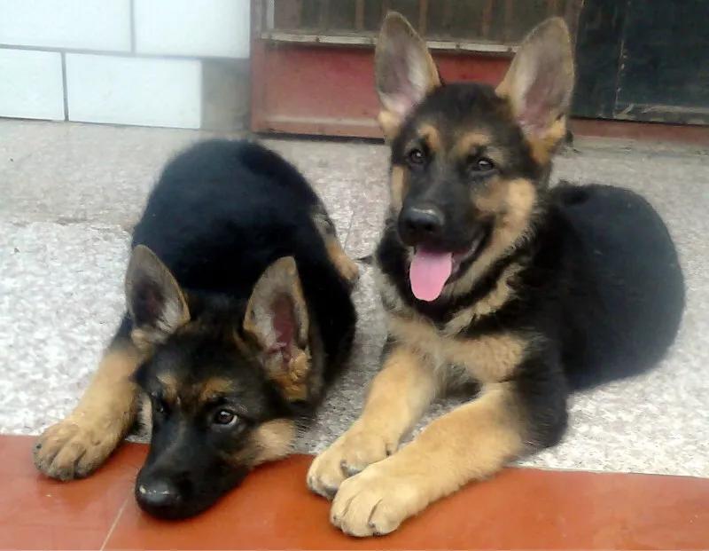 世上只有妈妈好爸爸也不错,世上只有妈妈好爸爸不好吗