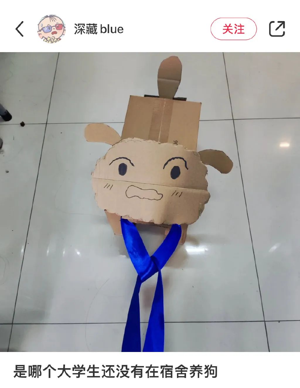 当代大学生的迷惑行为一个视频,纸箱手工制作教程可爱的小狗