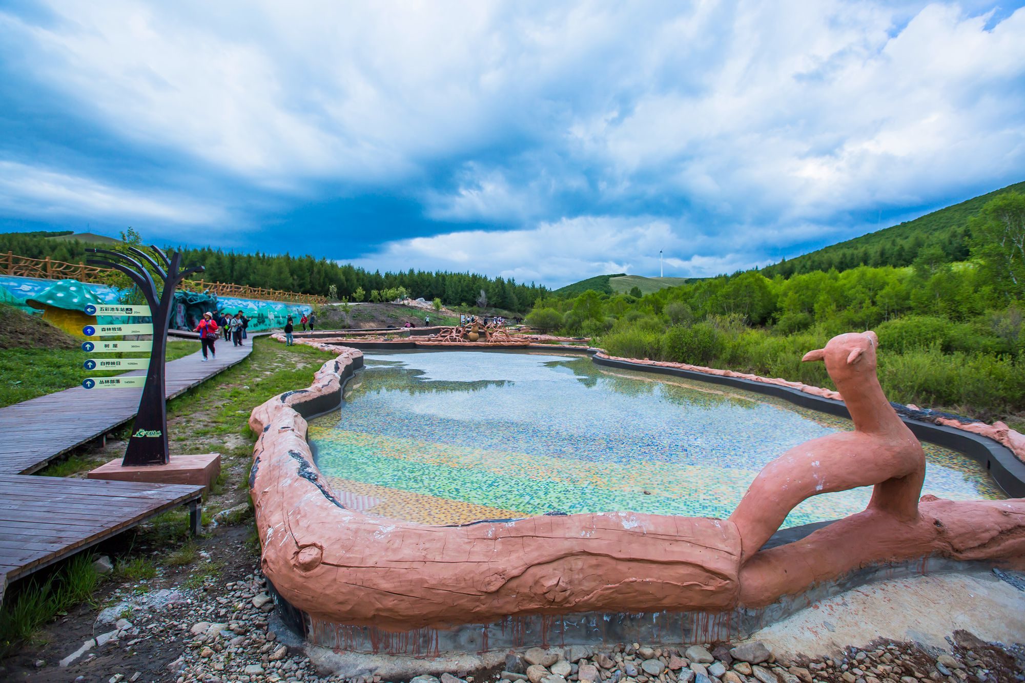 丰宁坝上七彩森林游玩攻略,丰宁坝上七彩森林