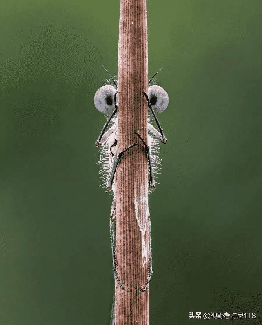 80年代我穿袜子的老照片,80年代袜子老照片