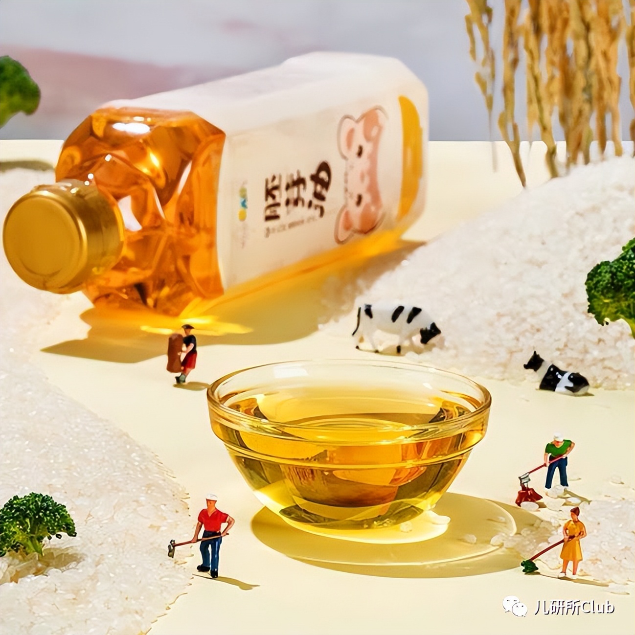 「CopytoChina」系列四：乳酸菌盐、豌豆低敏酱油，海外如何做？