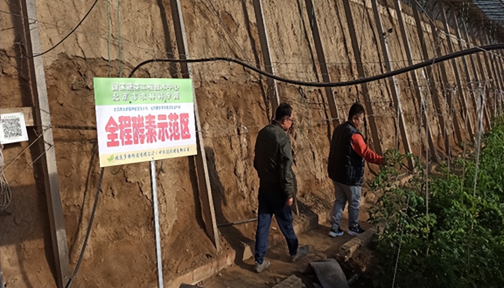 酵素富硒农业,农业酵素新技术