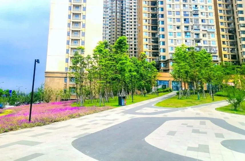 幸福成都美丽家园,幸福成都成就梦想