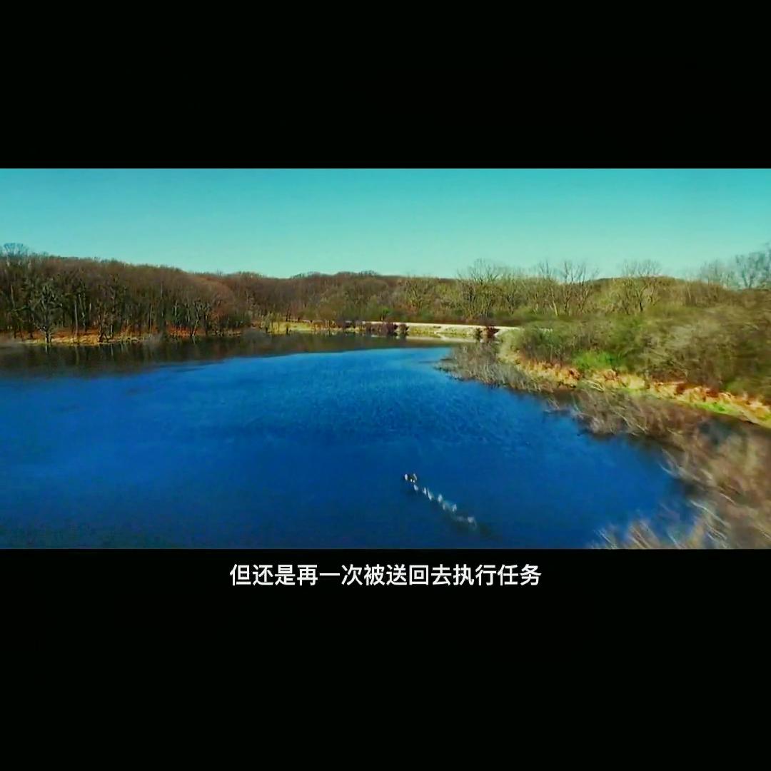 dou+小助手是什么,dou+代码怎么生成