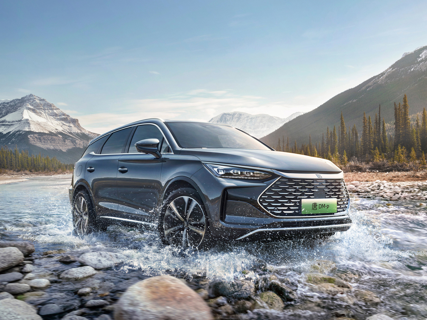 唐dmp顶配车主采访,唐dmp选车