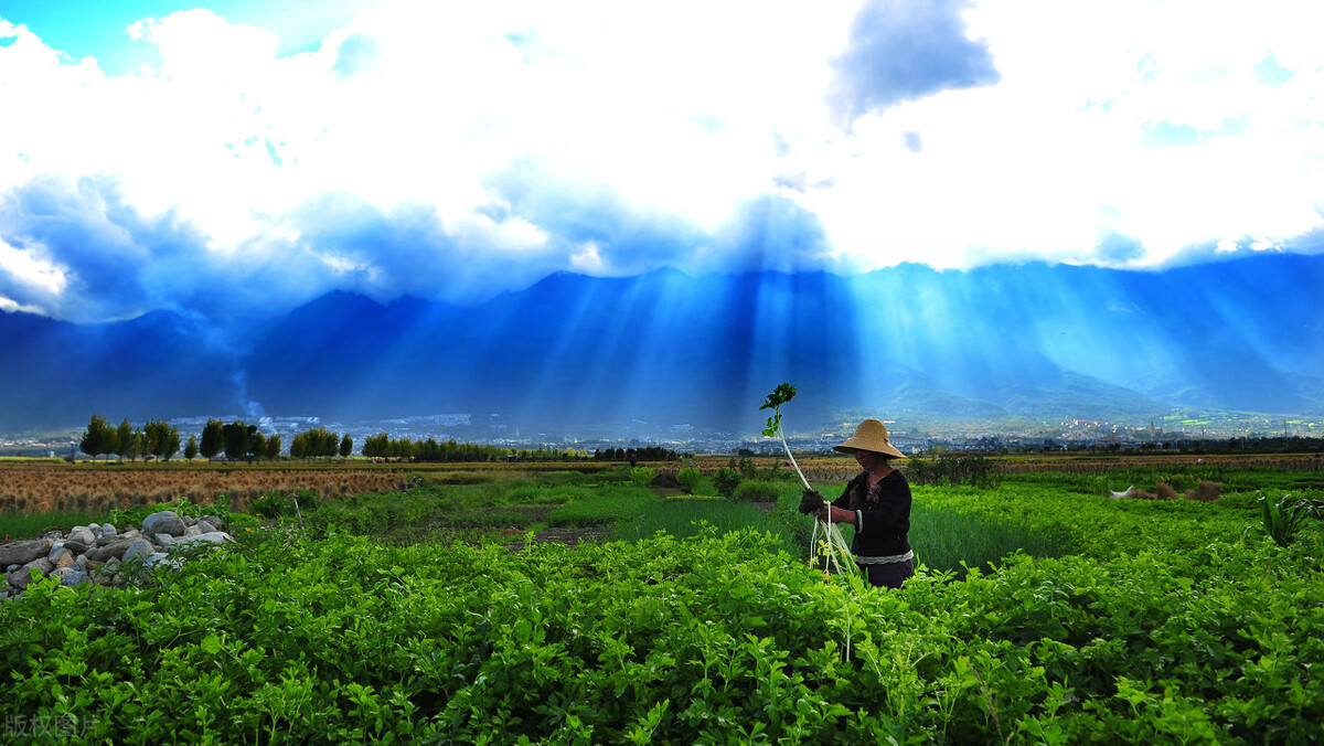 旅行要知道的彝族风俗禁忌,云南也有彝族人的十大禁忌