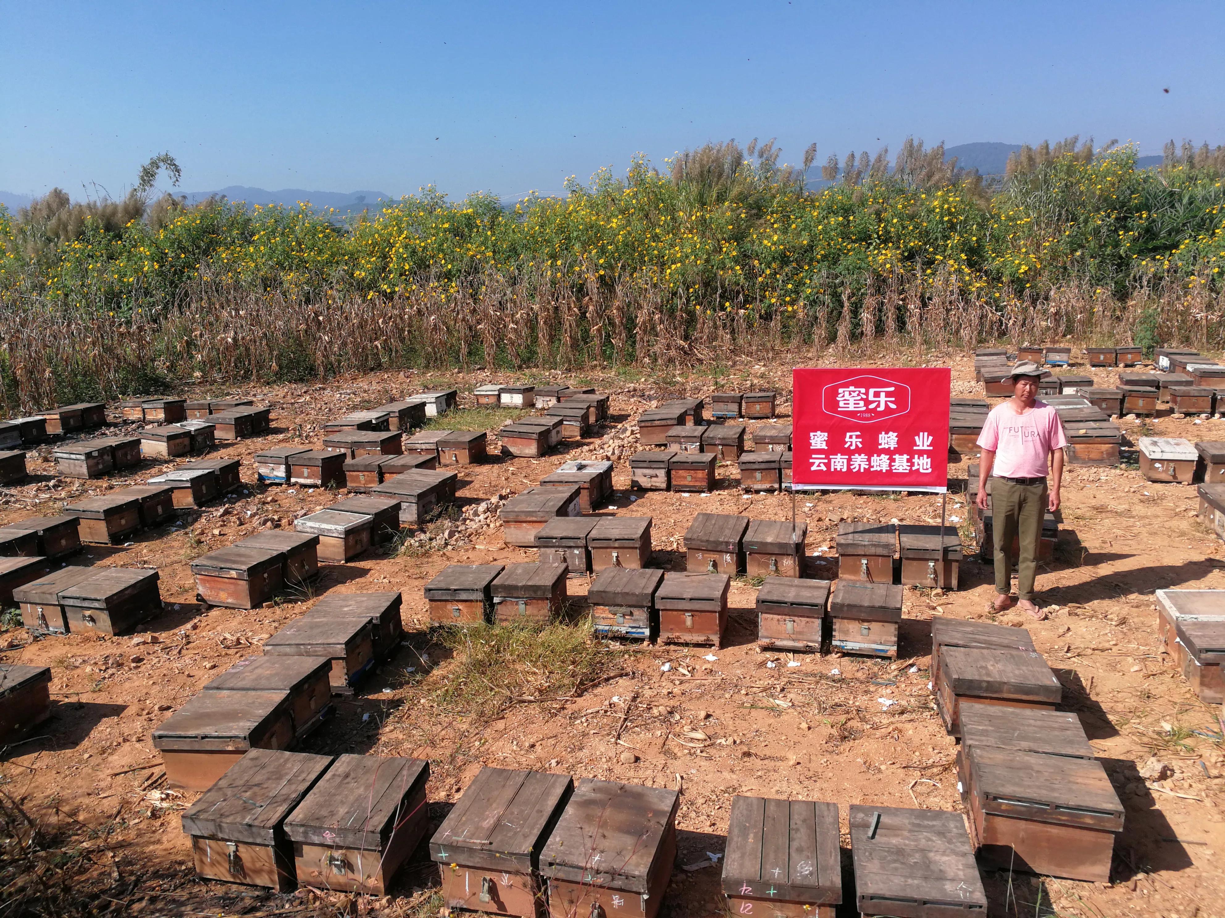 蜂蜜世界大奖,获得过蜂博会金奖的蜂蜜