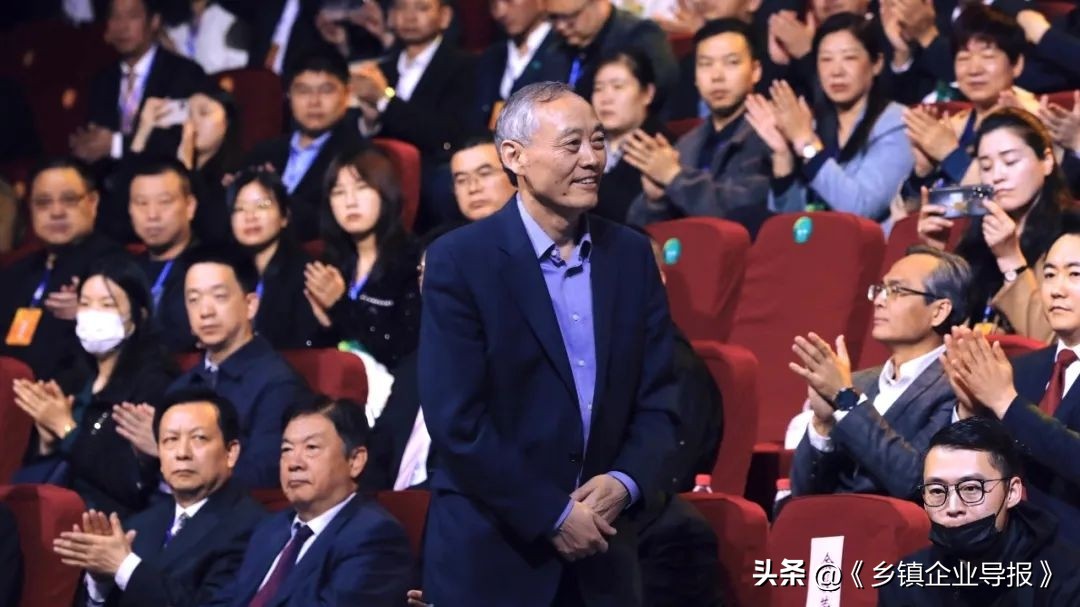 乡村振兴赋能计划人才典型案例,乡村振兴之文化振兴案例