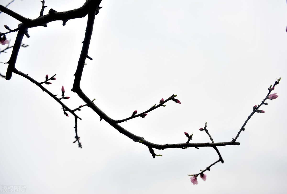 第一章留守儿童遭遇恶奴