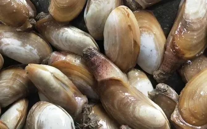 丹东附近的避暑好地方,丹东出去避暑自驾游3-4天最佳路线