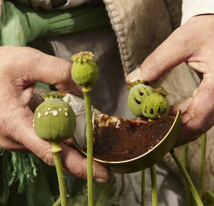 金三角探秘越南,金三角真实探险