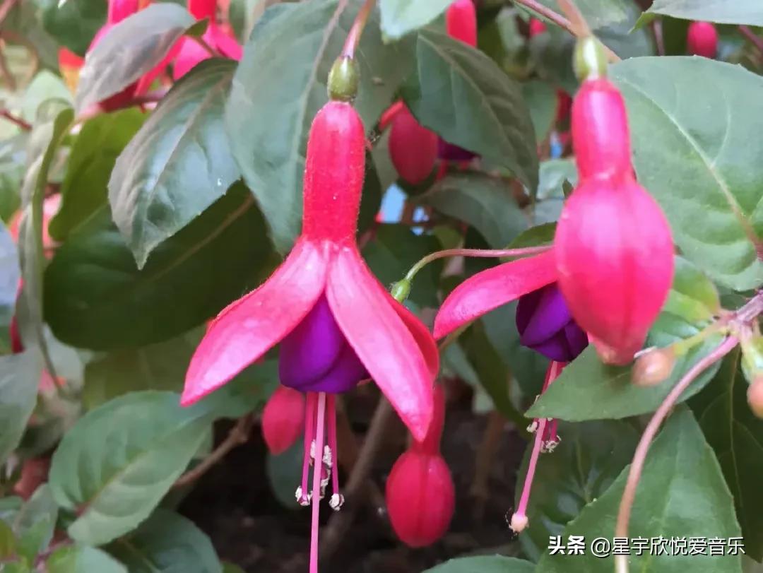 分享惊艳的图片,分享美景的图片卡点