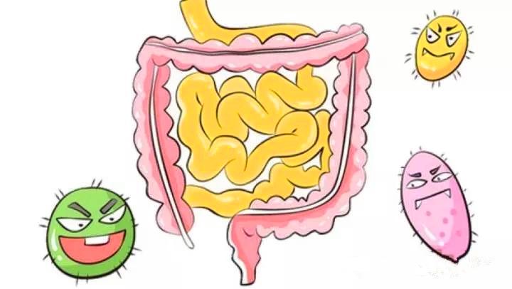 大便有臭鸡蛋气味,肠胃不好大便味道特别臭怎么办