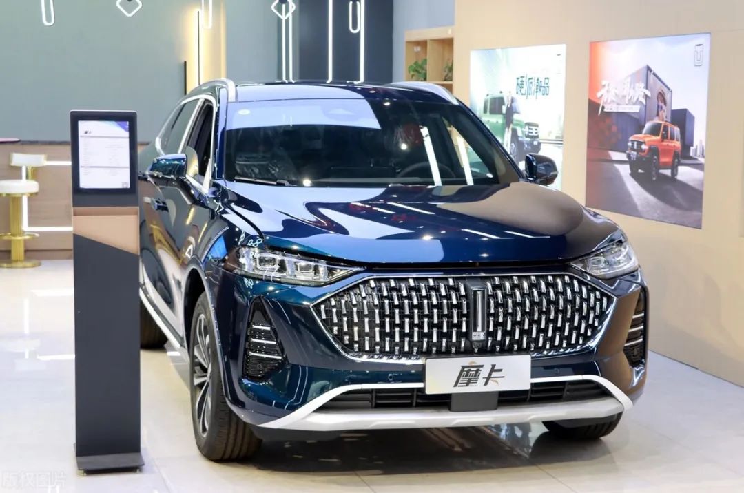 长城的泪，魏牌的罪