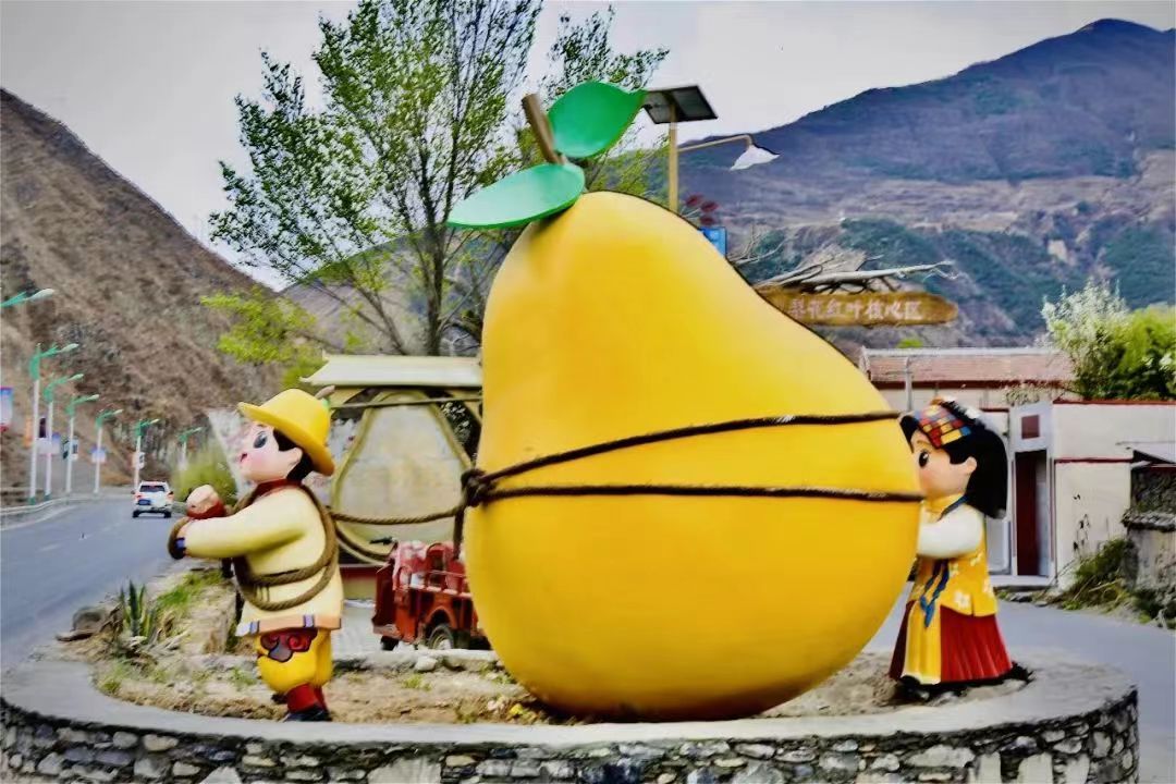 金川梨花节助力乡村振兴,金川县乡村振兴田园综合体