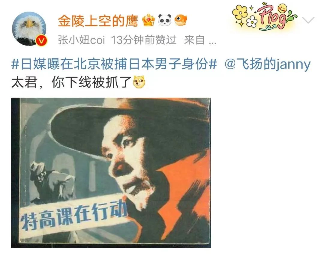 注意!有间谍!就在朝阳~