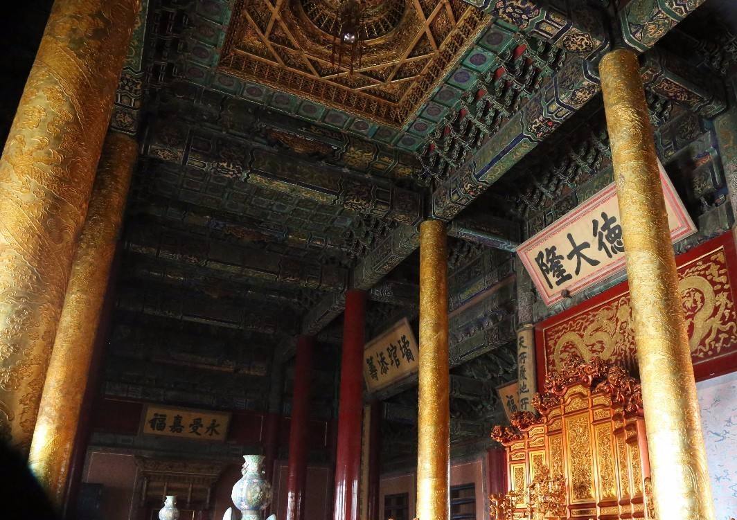 金丝楠木树苗为啥没人种,金丝楠木那么贵为何无人种