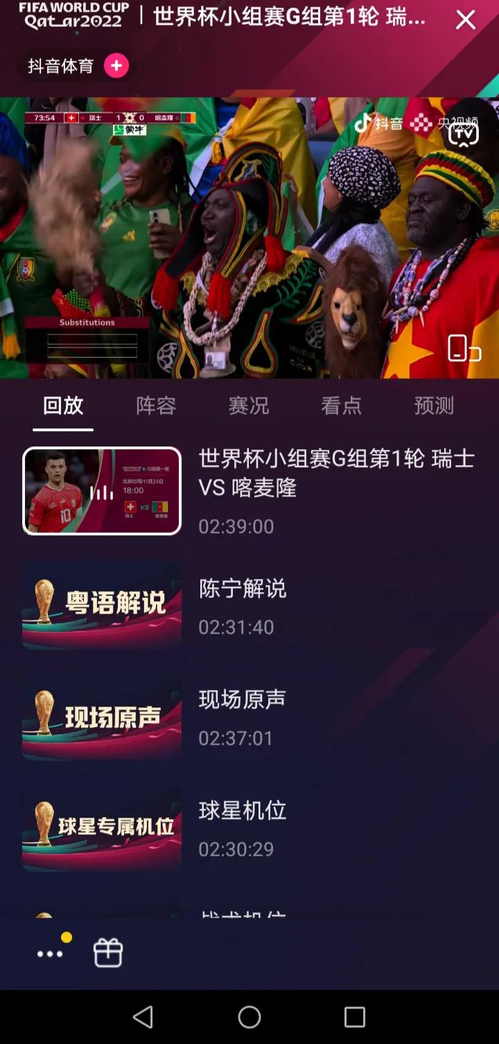 世界杯无障碍直播回放日本,世界杯直播录像回放日本