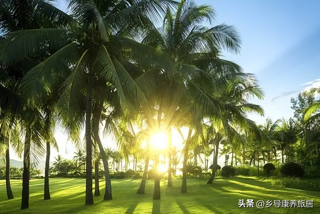 海南冬天过冬租房攻略 (去海南过冬租房房东都会提供什么)