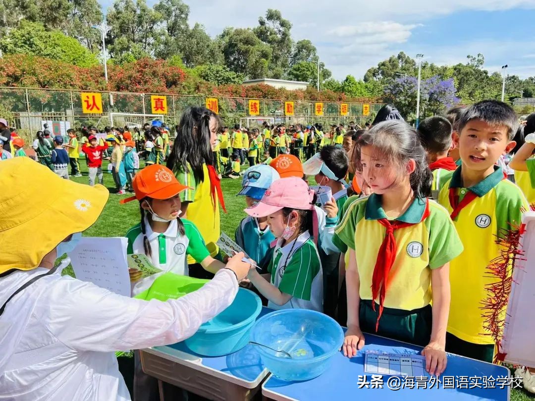 鏁板绱犲吇澶ц禌闈掑矝,瓒ｅ懗鏁板鐭ヨ瘑绔炶禌娲诲姩