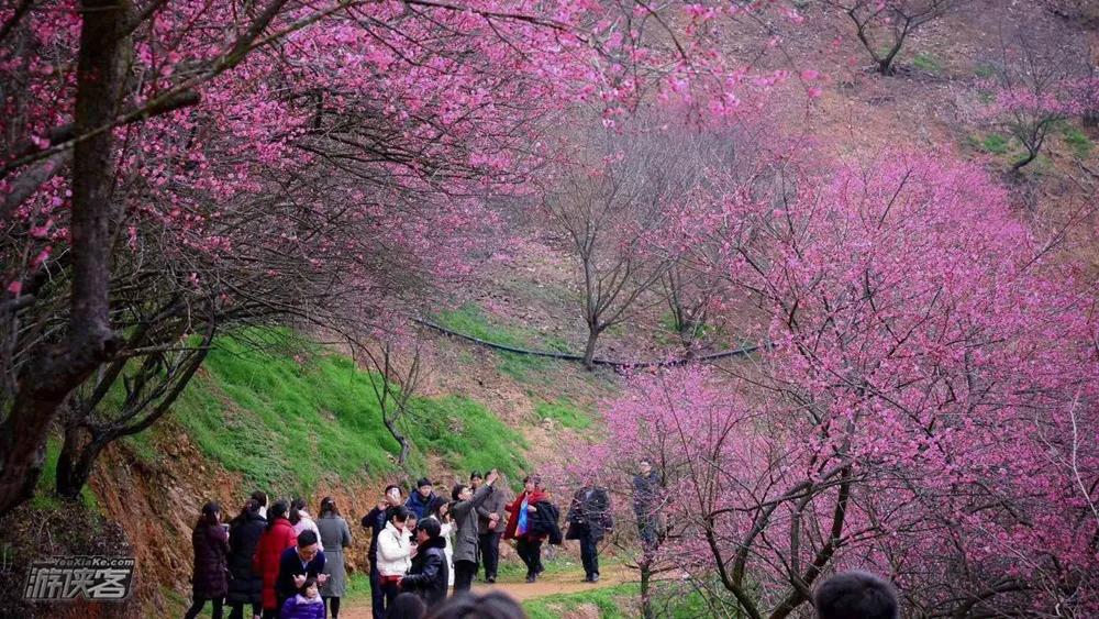 预测刷屏！疫情今春有望结束？适合2月去的18个大美山河准备好了