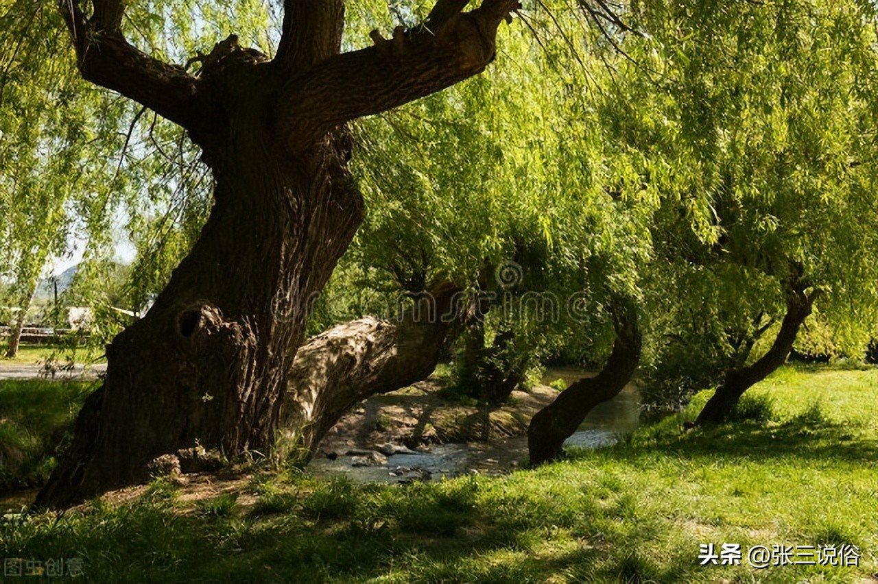 是上午立秋凉快还是下午立秋凉快,晚上立秋凉快还是早上立秋凉快