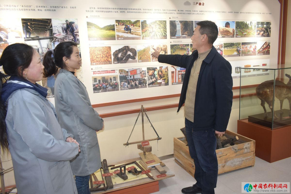 带领村民致富的好支书,好支书助农增收